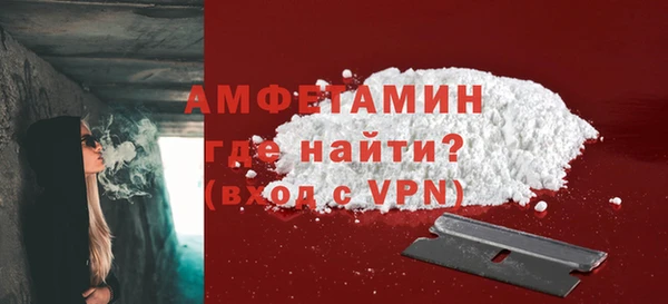 гидра Кодинск