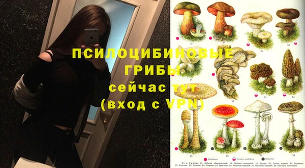 ПСИЛОЦИБИНОВЫЕ ГРИБЫ Алексеевка