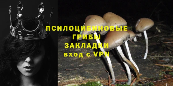 ПСИЛОЦИБИНОВЫЕ ГРИБЫ Алексеевка
