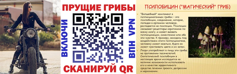 omg ссылка  Жирновск  Псилоцибиновые грибы MAGIC MUSHROOMS 